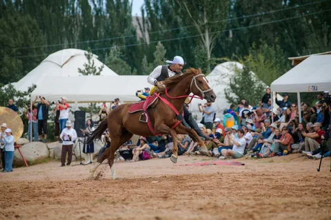 527366896_4235.max-2560x1440.format-webp.jpegquality-90.webp