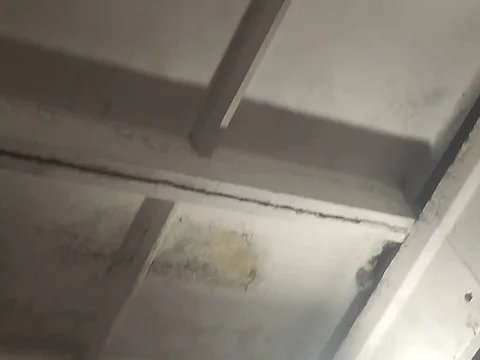 527725017_1157979509708107_5493440143954314846_n.jpg