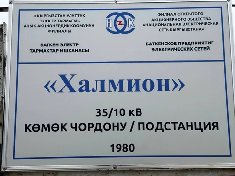 5305668574036827481.jpg