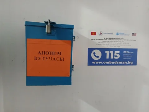 5343617131242787757.jpg
