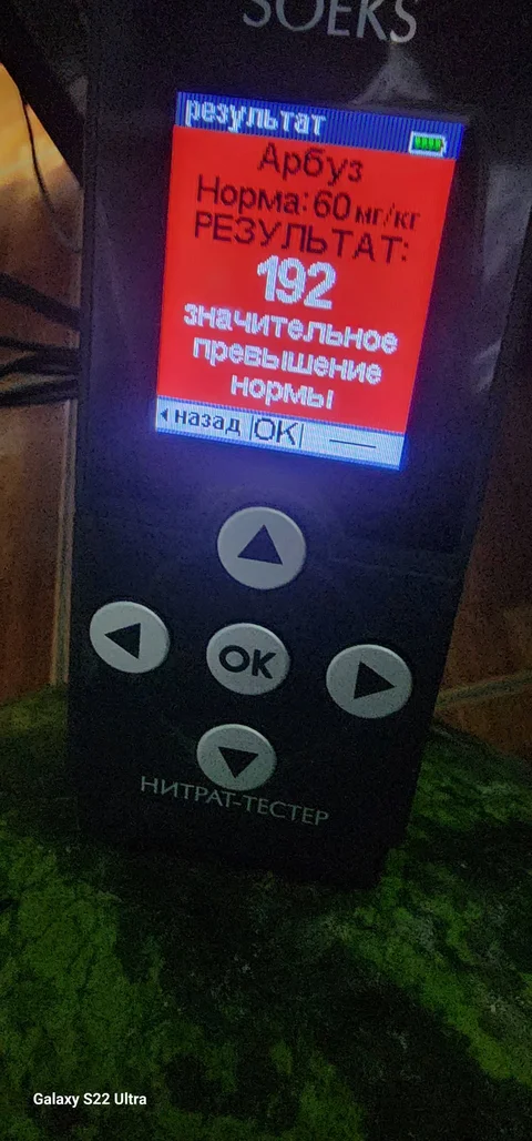 534602344_122184296564341273_1282455624651453672_n.jpg