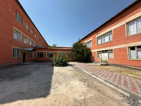 536269684_1304835757676543_2546548902883621004_n.jpg