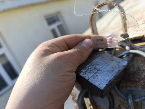 5368338078231557040 (9).jpg