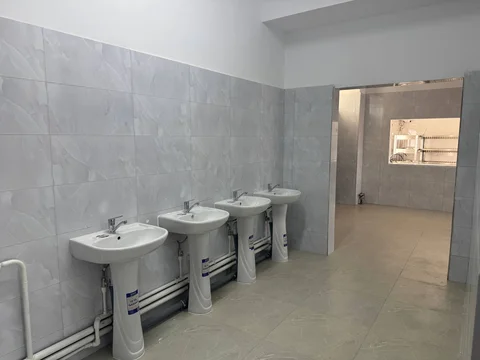 5370966516616076434.jpg
