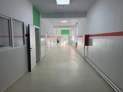5370966516616076438.jpg