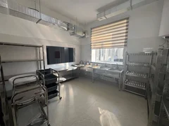5370966516616076440.jpg