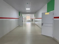 5370966516616076451.jpg