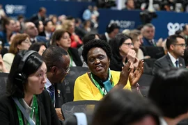 5372947922468674917.jpg