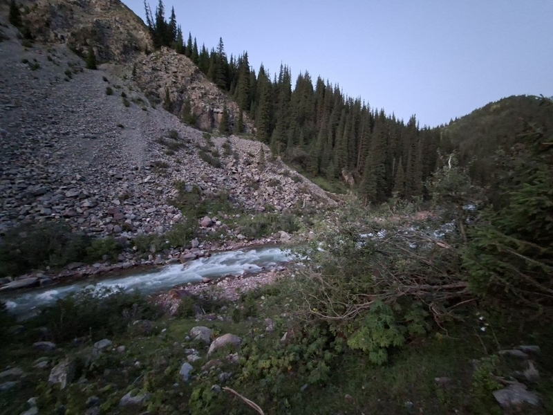 5408921099661153835.width-800