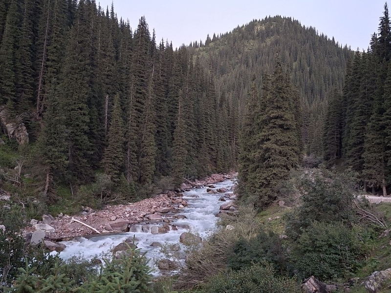5408921099661153837.width-800