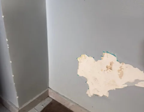 5418088776073942336.jpg