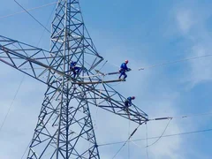 5427070226999744193.jpg