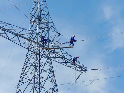5427070226999744193.jpg