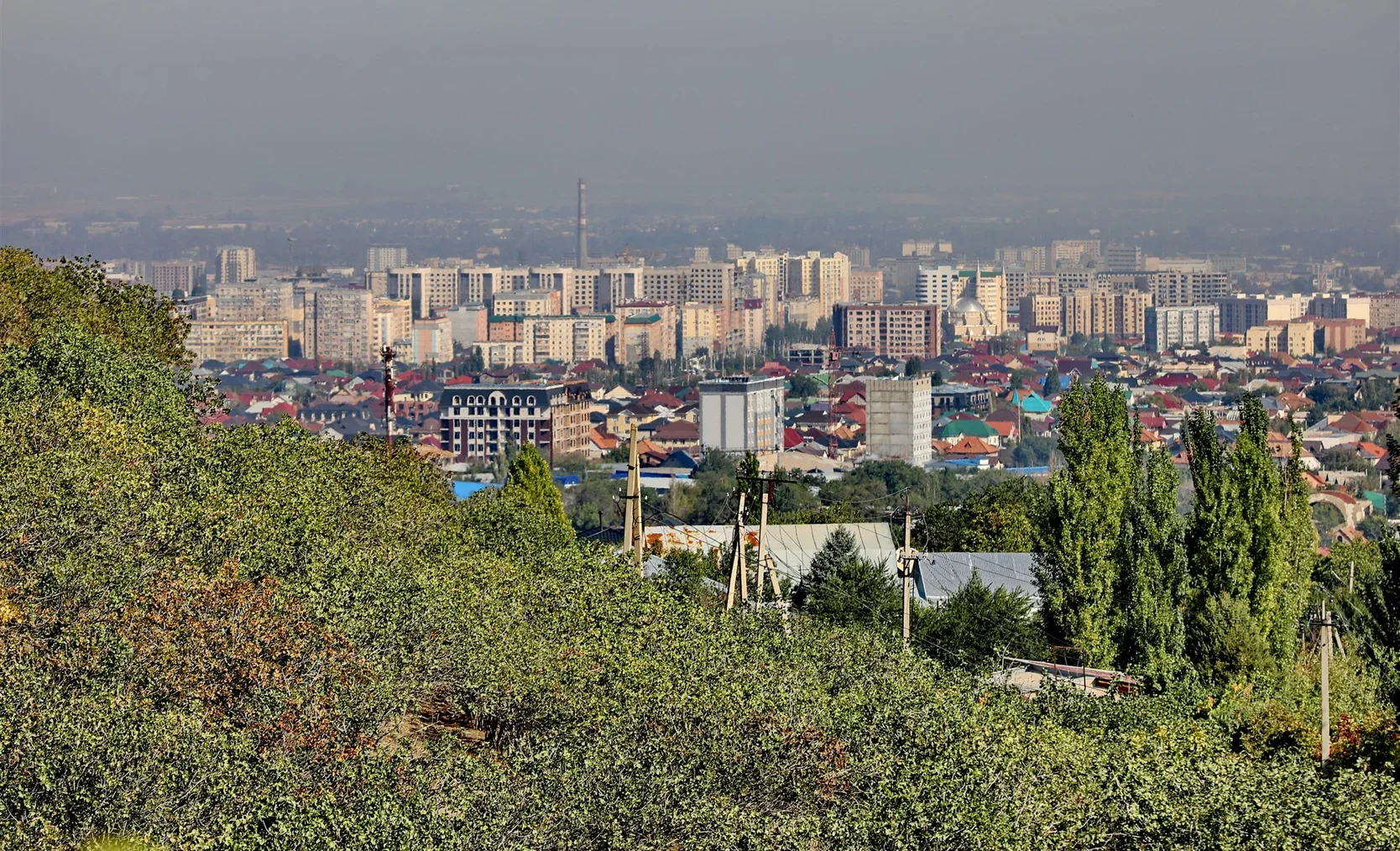 549807247_102352245.2e16d0ba.format-webp.fill-1668x1014 (1).webp