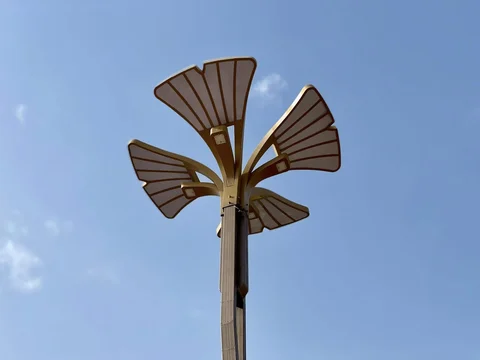 553739294_1134343952217834_1545757754304910176_n.jpg