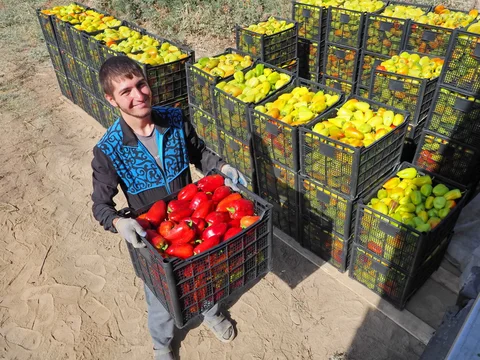 555684567_1023.max-2560x1440.format-webp.jpegquality-90.webp