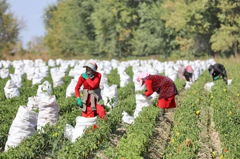 555898961_1023.max-2560x1440.format-webp.jpegquality-90.webp