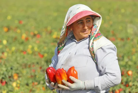 555981156_1023.max-2560x1440.format-webp.jpegquality-90.webp