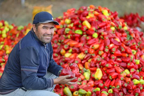 556142141_1023_cEqaLWg.max-2560x1440.format-webp.jpegquality-90.webp