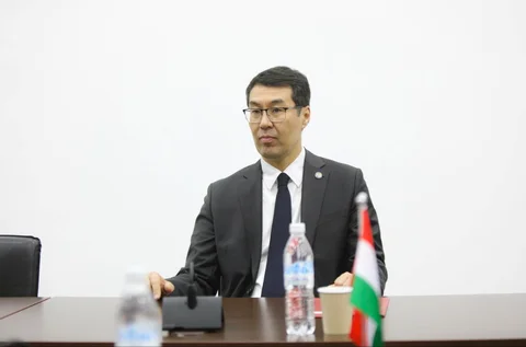 56da1348-b6fe-36b4-bc27-fb1da35d6387.jpg