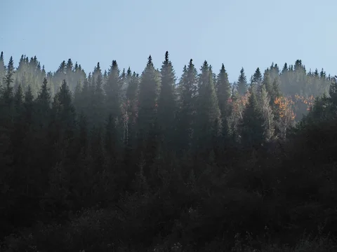 579676861_10235851974751286_9063964051669909789_n.jpg