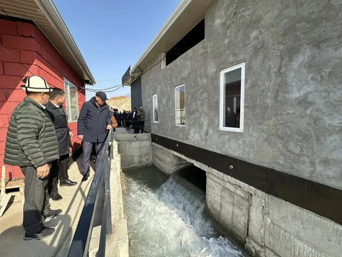 584446633_1380692763424175_2517334972036392803_n — копия.jpg