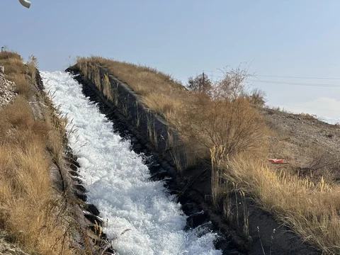 586336576_1380692526757532_4365044123954243393_n — копия.jpg