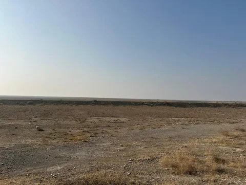587439349_1385973549562763_5731954510311368796_n.jpg