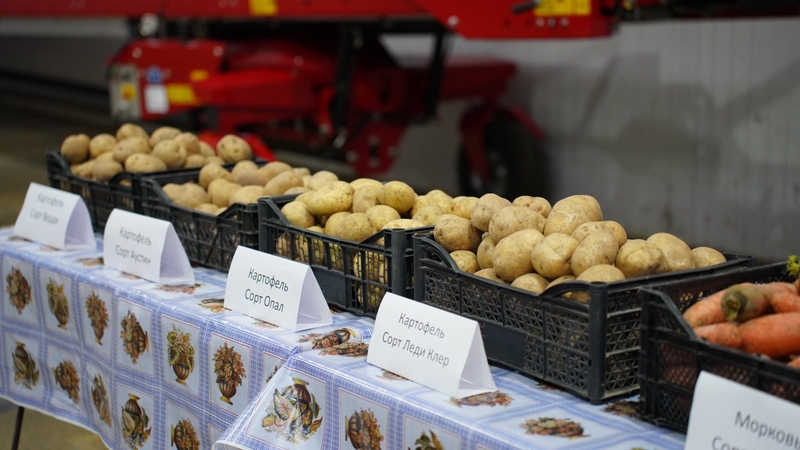 589078838_122194670270341273_4668576424684389441_n