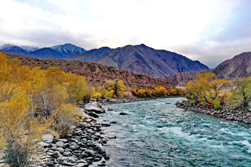 590773578_10236047524559909_4.max-1920x1080.format-webp