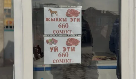 593727867_1352850026881542_2470015770369127948_n.jpg