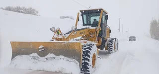 596635443_1167195435589201_6447540323072967731_n (1).jpg