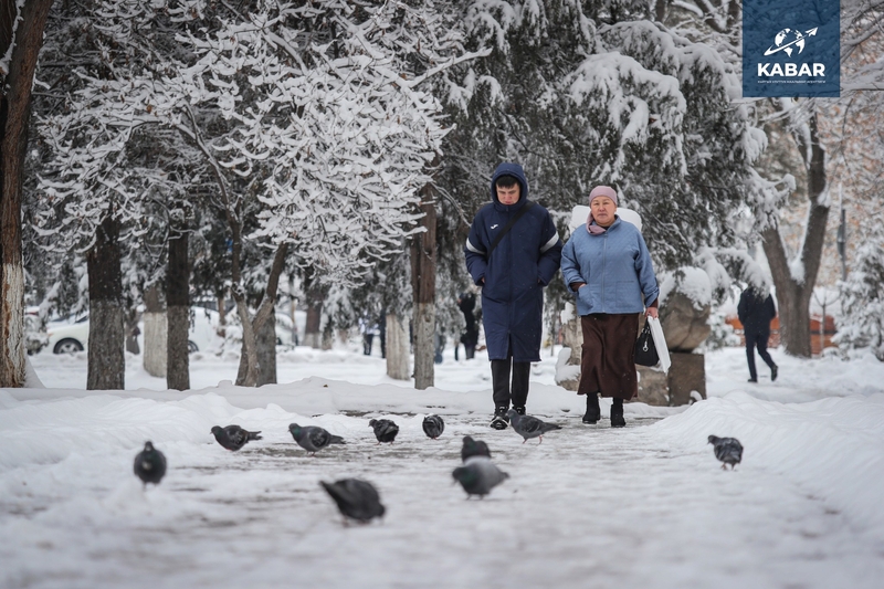 597377574_3654943981315441_1590131348309157433_n