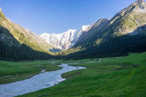 5da0022fb47ca2.max-2560x1440.format-webp.jpegquality-90.webp