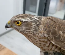 615733587_873993515253779_1883197122811290605_n (1).jpg