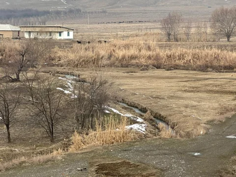 627377453_1437151944444923_6551488880687690702_n.jpg