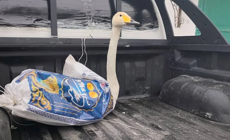 635408462_902170959102701_2222088900666317414_n (1).jpg