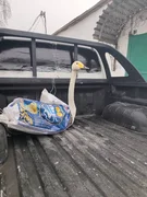 635408462_902170959102701_2222088900666317414_n (1).jpg