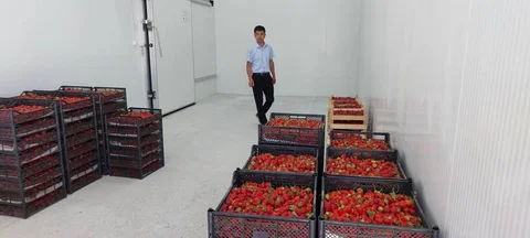 638113591_1449832176510233_1567492028601350174_n.jpg