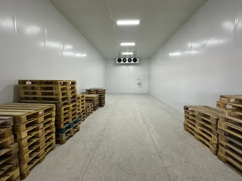 638175296_1449832219843562_2832248877876171882_n.jpg