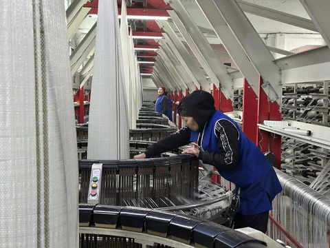 638667845_1454999565993494_7439663207711824022_n.jpg