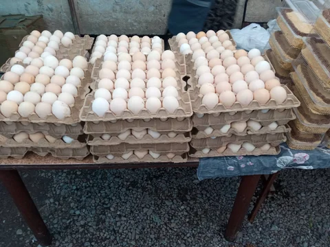 645510766_122204869460341273_2511578592316885730_n.jpg