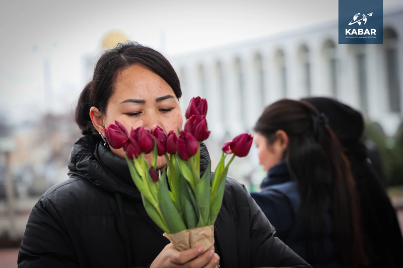 647635107_3750.max-2560x1440.format-webp.jpegquality-90