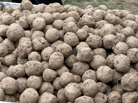 648403761_1462073345286116_507130296222190639_n.jpg