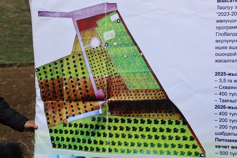 653047524_122204481218368081_668218305606649802_n.jpg