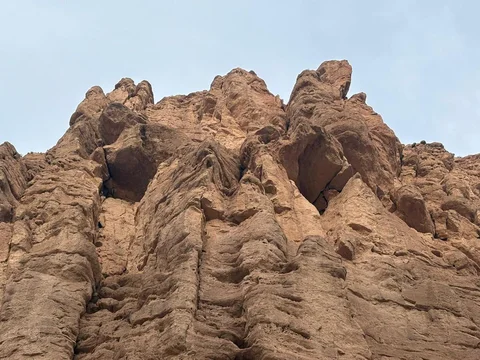 655237003_1249281494047261_2885873821661465964_n.jpg