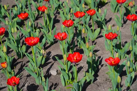 658360755_1810.max-2560x1440.format-webp.jpegquality-90 (1).webp