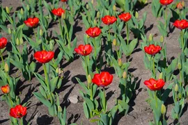 658360755_1810.max-2560x1440.format-webp.jpegquality-90 (1).webp