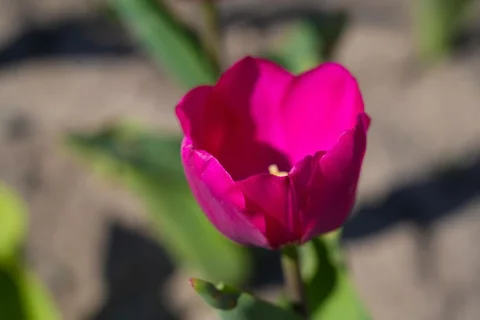 658386025_1810.max-2560x1440.format-webp.jpegquality-90.webp