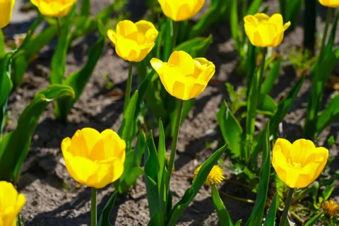658832151_1810.max-2560x1440.format-webp.jpegquality-90.webp